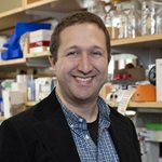 Portrait of photo of ted zwang