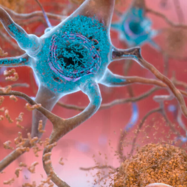 illustration of neurons