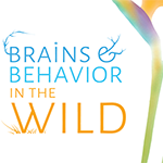 brains and behavior in the wild