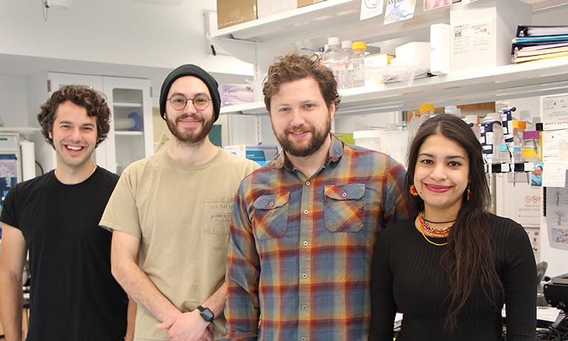 photo of 4 members of the bellono lab