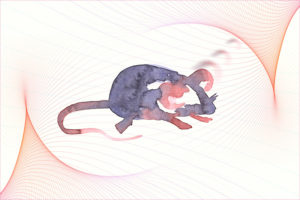 artistic drawing of a mouse