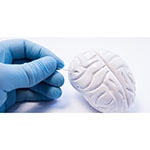 a gloved hand poking a model of a brain with a syringe
