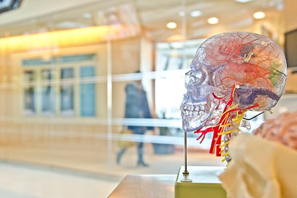 brain605