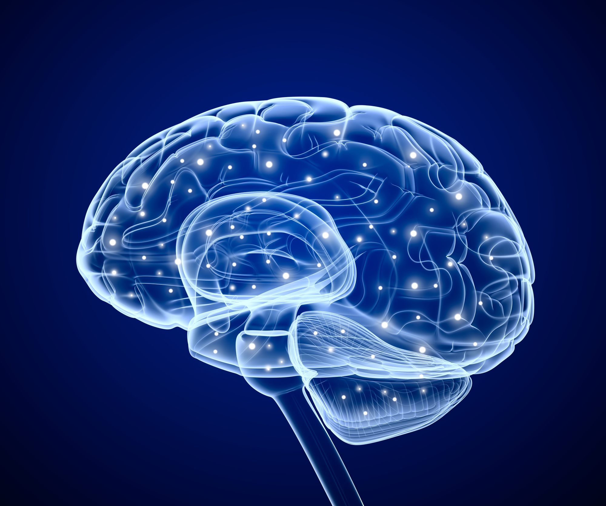 brain_network