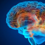 Human brain tumor X-ray scan , Medically accurate 3D illustration
