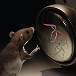 Artists rendering of CAPTURE