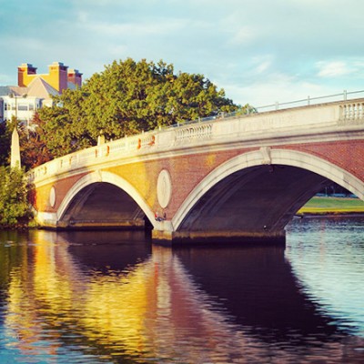 a bridge going over a river