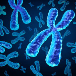 Illustration of chromosomes on a blue background