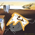 dalimouse-cropped-150×150