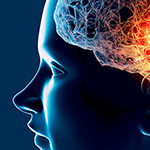 Digital illustration of human head in profile, with the brain illuminated