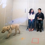 A one-way mirror allowed Harper, a 6-year-old Wheaten terrier, to be observed in various situations.