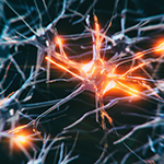 "A close up of a network of dark blue neurons on a black background, with spots of glowing orange