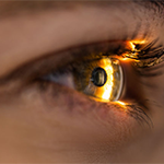 Close up of a human eye