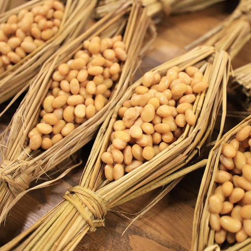 Japanese natto is made from soybeans that have been fermented with Bacillus natto.