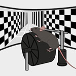 illustration of a mouse on a treadmill looking at a screen