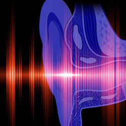 Image depicting sound waves travelling into the ear