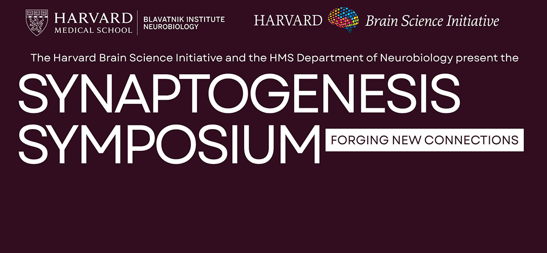 synaptogenesis symposium poster