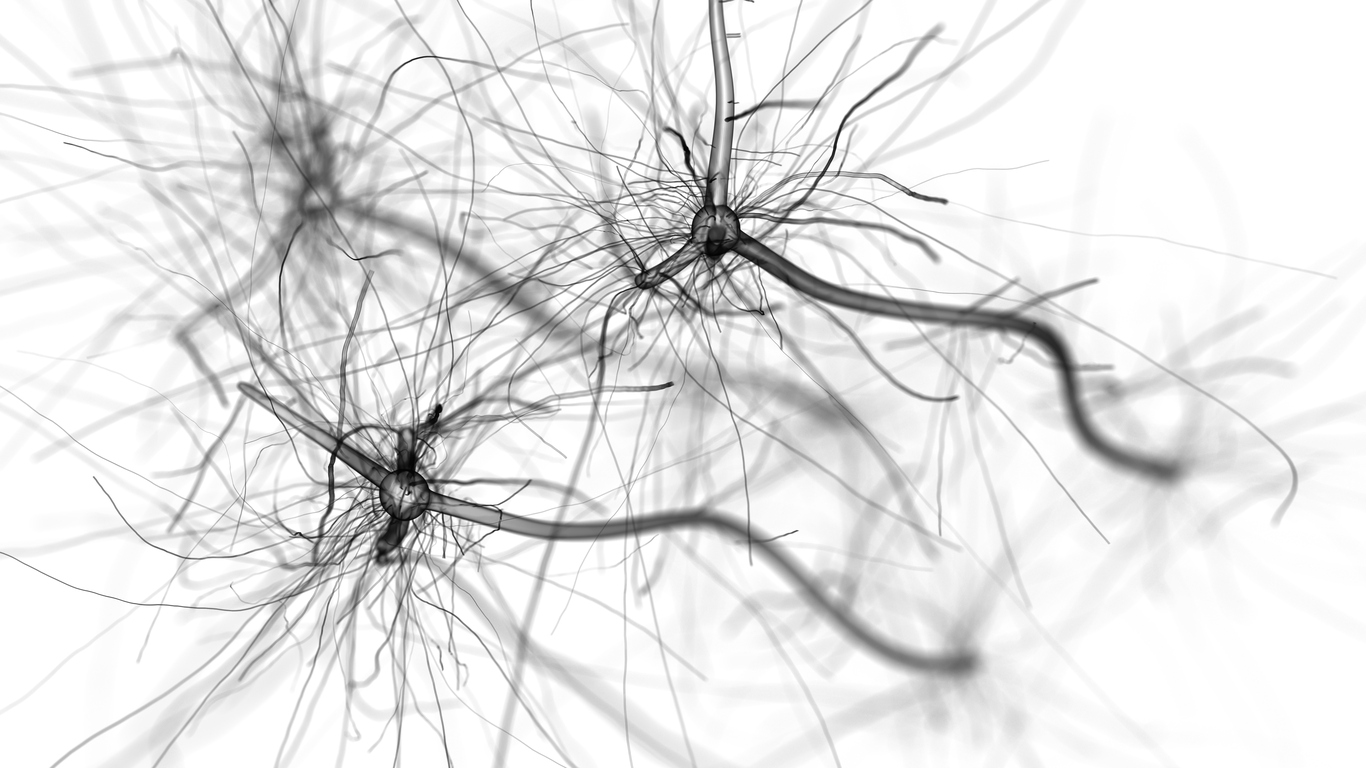 Neuron cell network on white