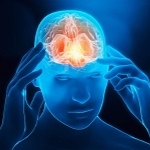 iStock-brain.2500-900×600-1