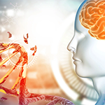 Human brain with DNA strand. 3d illustration