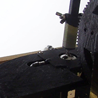 a jumping spider on scientific equipment
