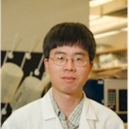 Qiufu Ma
