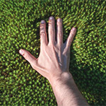 mystery of touch
