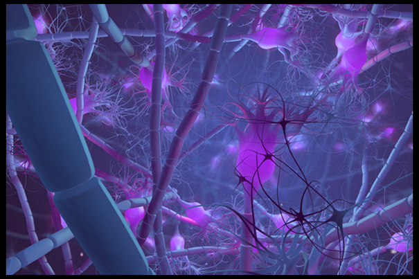 Active Neurone