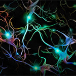 stock photo illustration of neurons