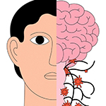 illustration of a human face on half and a brain on the other