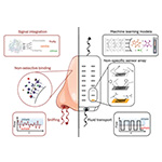 Key principles of biological olfaction—gas transport, non-selective sensing, and context-specific signal integration—enhance next-generation gas sensor design, improving accuracy, sensitivity, and adaptability.