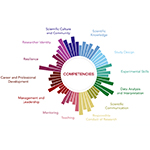 Starburst model showcasing 13 competency areas