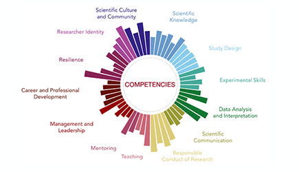 Starburst model showcasing 13 competency areas