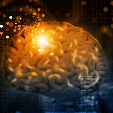 3d render of Brain functions, synapses