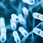 digital illustration of bacteria