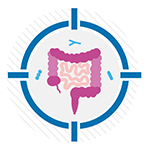 Gut bacteria reactivate testosterone to relax the colon. Drugs targeting this process could treat disorders such as IBS.