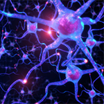 illustration of neurons