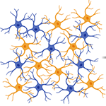 image depicting Effects of selective experience rearing on thalamic neuron properties