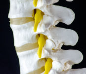 spine stock image from depositphotos.com