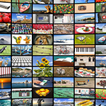 a collage of photographs