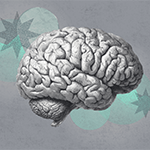 illustration of a brain