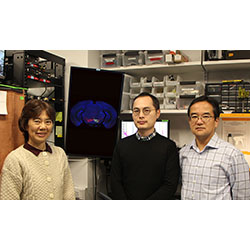 Mitsuko Watabe-Uchida, Ryunosuke Amo , and Nao Uchida