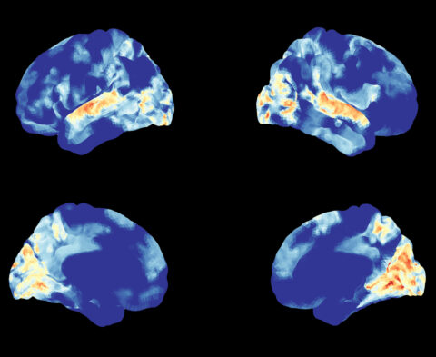 Intersubject Synchronization of Brain Activity During Viewing of Film Clips by Xuehu Wei