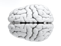 White brain