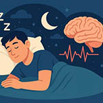 REM sleep and vagal nerve activity may play a crucial role in how the brain recovers from fear. These findings could open the door to innovative therapies for PTSD and related conditions.